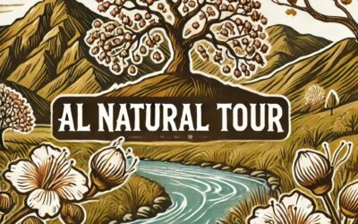Al Natural Tour: «Ruta del Castañar: El Espectáculo Dorado de los Castaños».